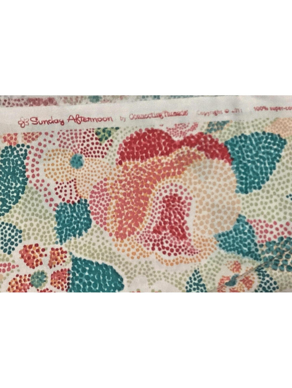 6 Yds Sunday Afternoon by Connecting Threads Fabric 2011 USA  (115)